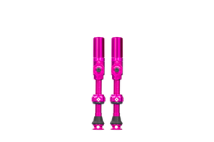 Big Bore Hybrid Tubeless Valves